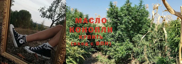 стафф Михайловск