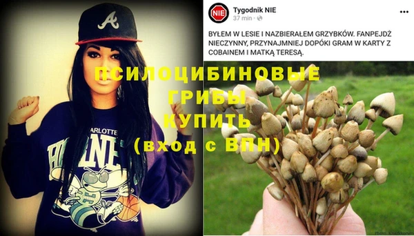 стафф Михайловск