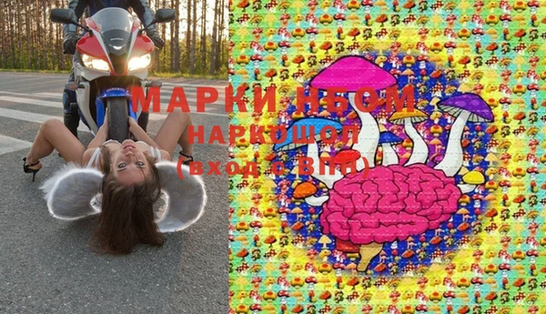 стафф Михайловск