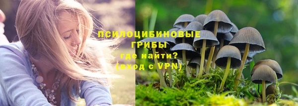 стафф Михайловск