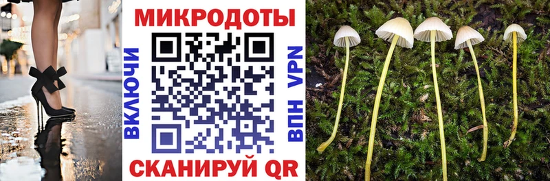 купить закладку  Южа  Галлюциногенные грибы Psilocybe 