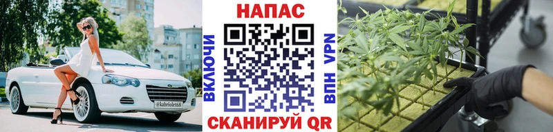 продажа наркотиков  Южа  Каннабис индика 